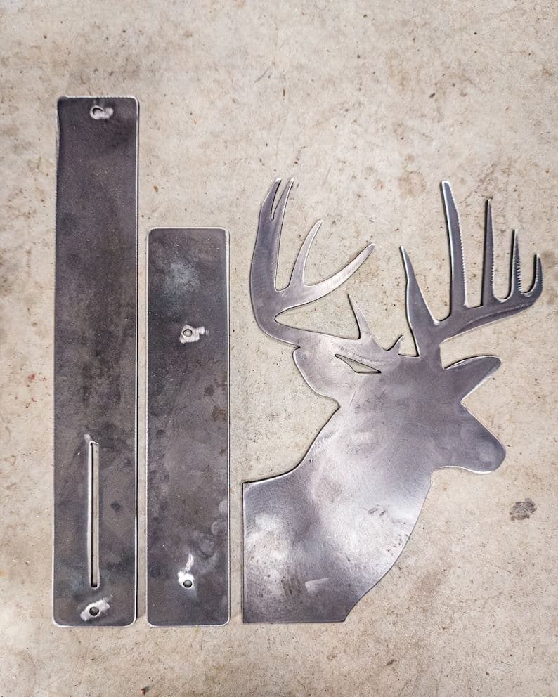 Whitetail & brackets, fresh off the table